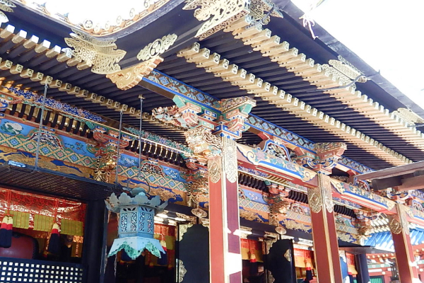 文化祭の防除